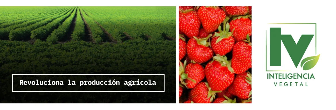 Banner inteligencia vegetal