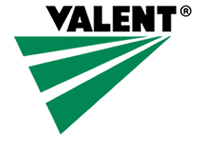 Logo Valent de México