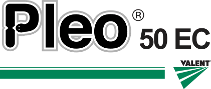 Logo Pleo