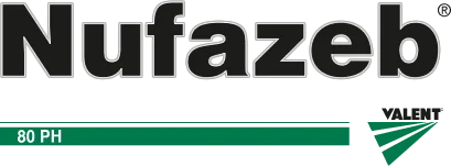 Logo Nufazeb