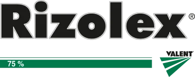 Logo Rizolex